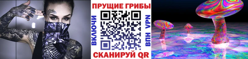 Псилоцибиновые грибы прущие грибы  Ростов-на-Дону 